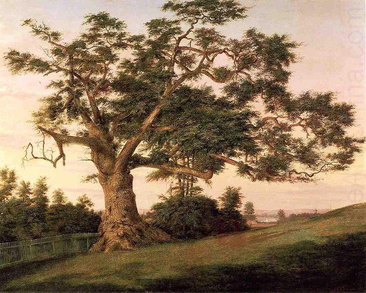 The Charter Oak, unknow artist
